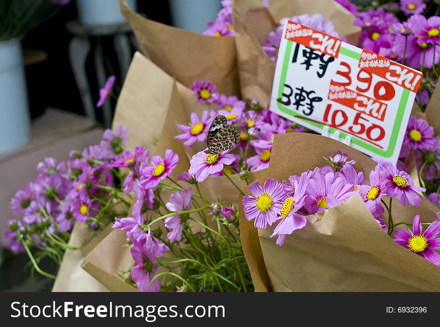 There are florists everywhere in Japan and this is one that caught my attention -- that is, the welcomed butterfly.