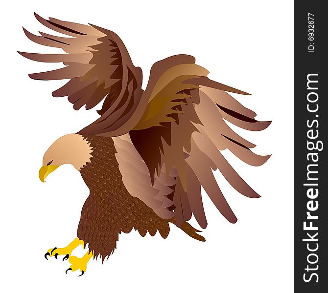 Eagle Vector