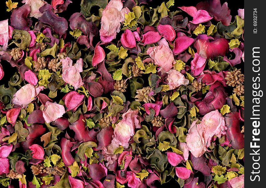 Close up rose petals to background