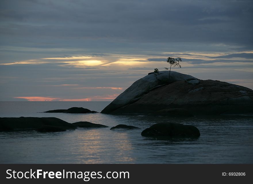 Single tree growing on the rocks in the ocean. Single tree growing on the rocks in the ocean