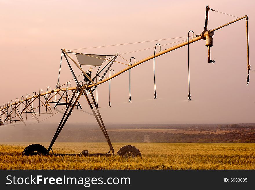 Irrigation system on a wheat field with selective focus