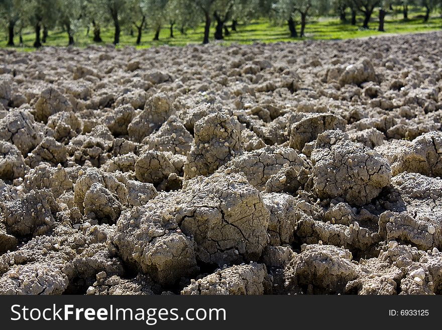 Dry and sunny newly plowed land. Dry and sunny newly plowed land