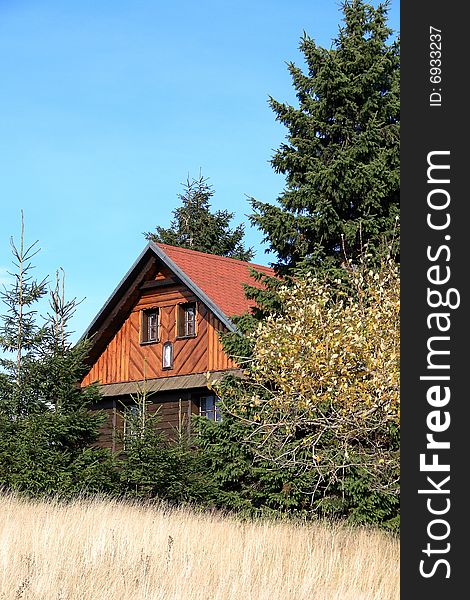 Old chalet in forest on blue background