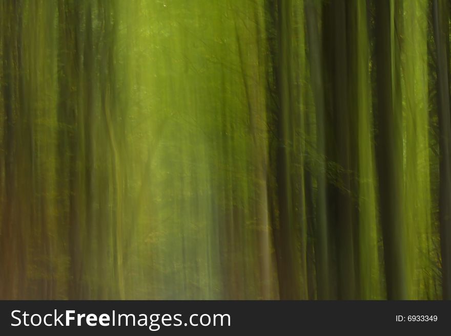 Interesting and mystery forest in Czech. Interesting and mystery forest in Czech