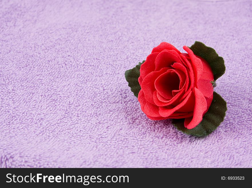 Scented rose on a background lilac towel. Scented rose on a background lilac towel