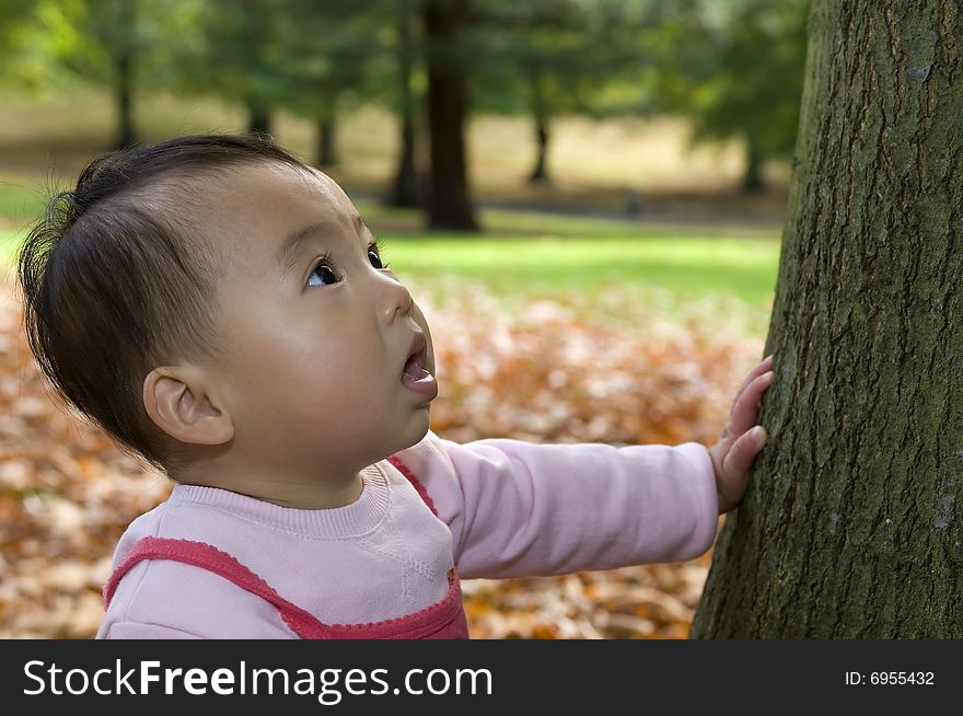 Chinese baby girl near tree. Chinese baby girl near tree