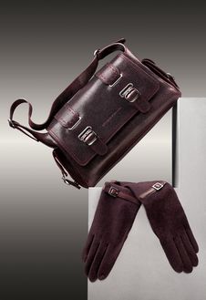 Brown Handbag And Gloves Royalty Free Stock Photography Brown Handbag And Gloves Royalty Free Stock Photography