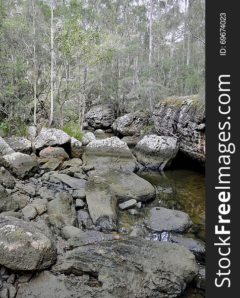 Nowra creek riverbed along the hiking path Bens Walk in the escarpment near Nowra, New South Wales, Australia. Nowra creek riverbed along the hiking path Bens Walk in the escarpment near Nowra, New South Wales, Australia