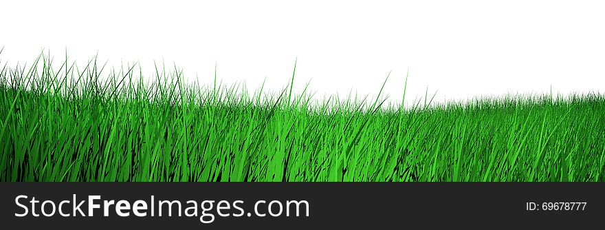 3d grass isolated on white background. 3d grass isolated on white background