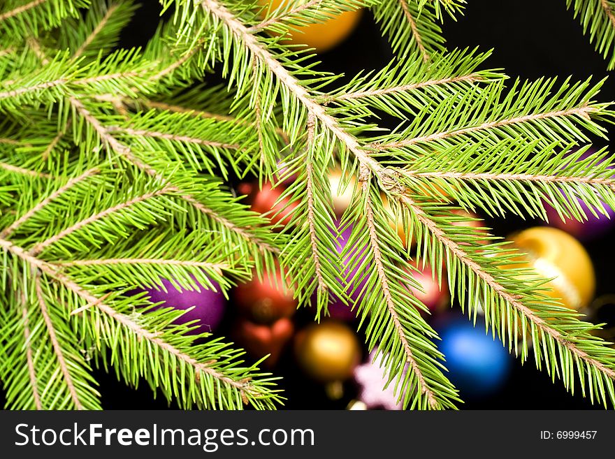 Close-up Of Christmas Tree