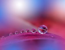 Beautiful Nature.Art Photography.Floral Fantasy Design.Colorful Abstract Macro,water Drops.Web Banner.Relaxation.Colors,blue,red. Stock Photos Beautiful Nature.Art Photography.Floral Fantasy Design.Colorful Abstract Macro,water Drops.Web Banner.Relaxation.Colors,blue,red. Stock Photos