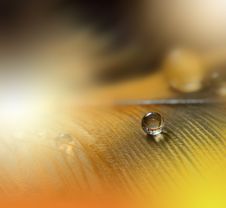 Artistic Orange Background And Colorful Waterdrop.Beautiful Macro Photography.Abstract Art.Colorful Background.Creative Web Design Stock Images Artistic Orange Background And Colorful Waterdrop.Beautiful Macro Photography.Abstract Art.Colorful Background.Creative Web Design Stock Images
