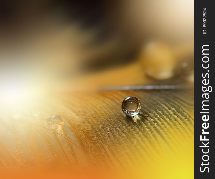 Artistic Orange Background and Colorful Waterdrop.Beautiful Macro Photography.Abstract Art.Colorful Background.Creative Web Design