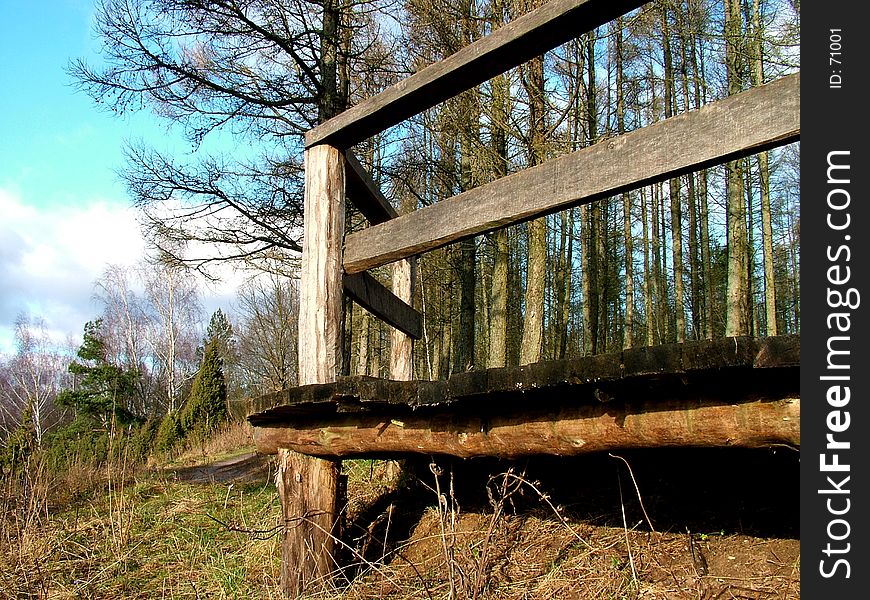 Fence in forest