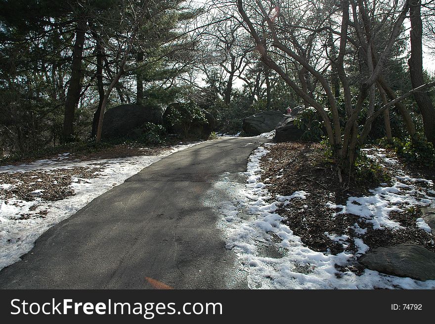 Path in Central Park