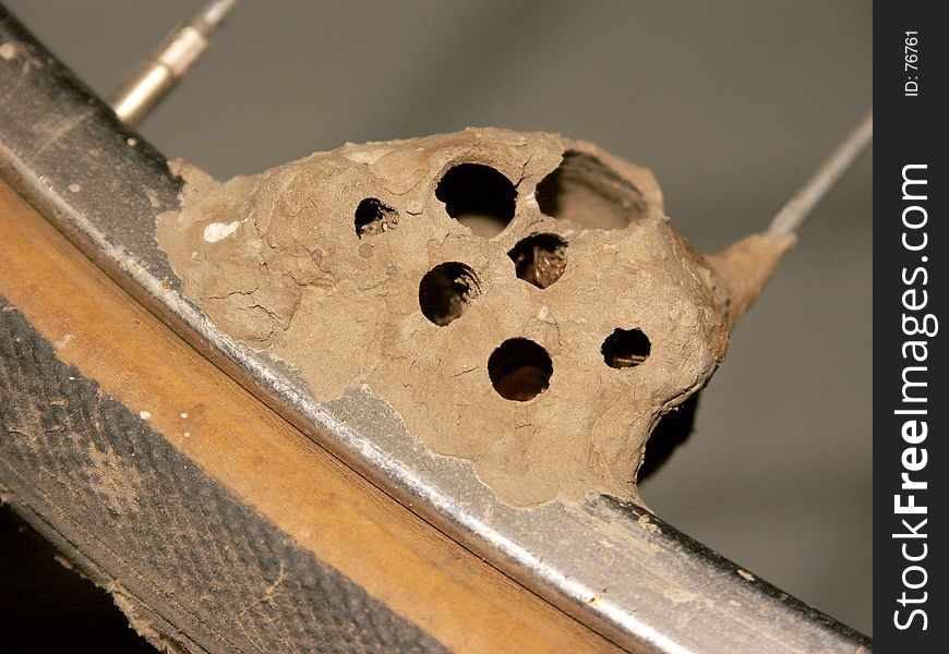 Mud Dauber nest on an old bicycle tire frame. Mud Dauber nest on an old bicycle tire frame