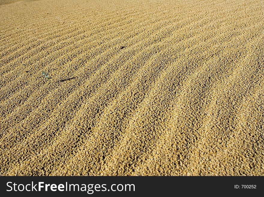 Virgin sand in a desert or beach. Virgin sand in a desert or beach