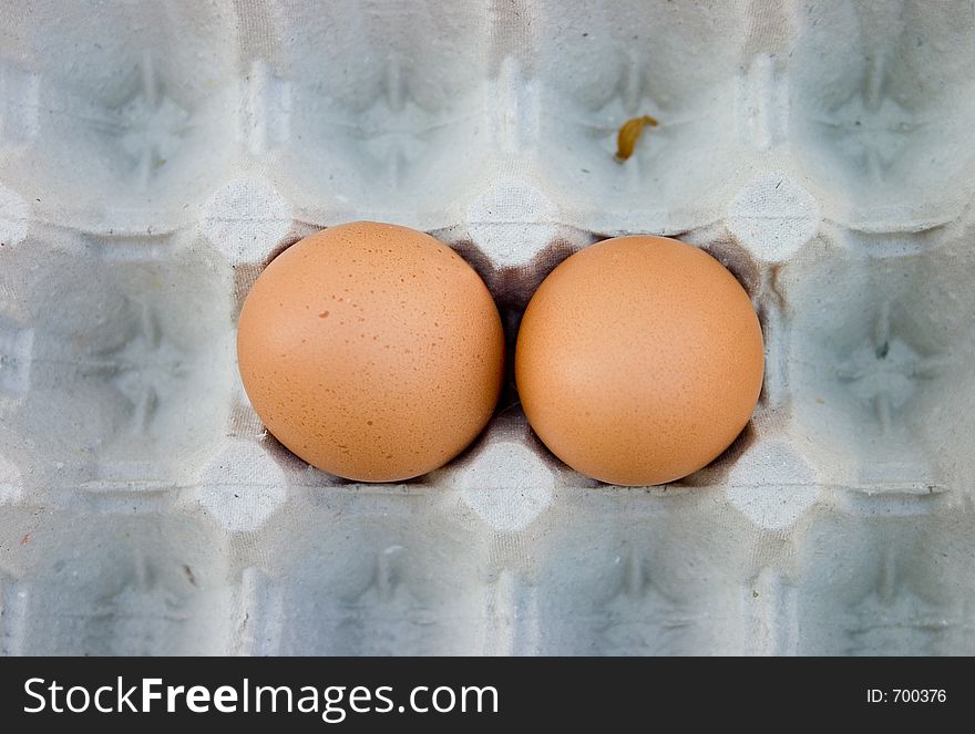 A pair of brown chicken eggs in egg tray. A pair of brown chicken eggs in egg tray
