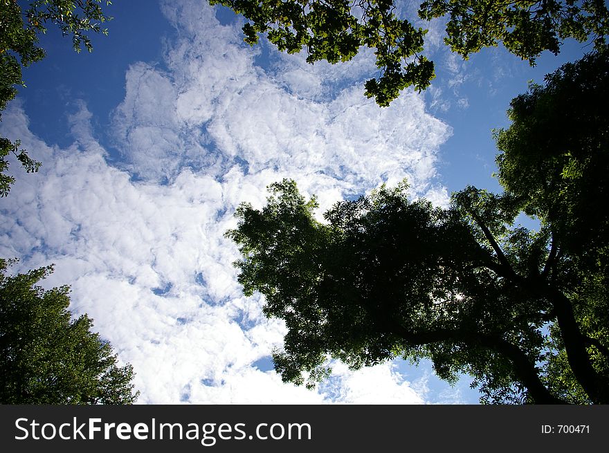 Cool summer clouds. Cool summer clouds