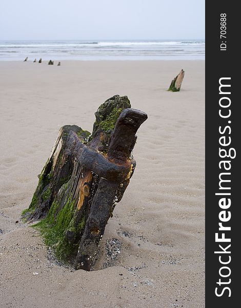 Bow section of wrecked ship protruding from Ross Sands beach in Northumbria, England. Other sections of boat's hull also visible. Bow section of wrecked ship protruding from Ross Sands beach in Northumbria, England. Other sections of boat's hull also visible.
