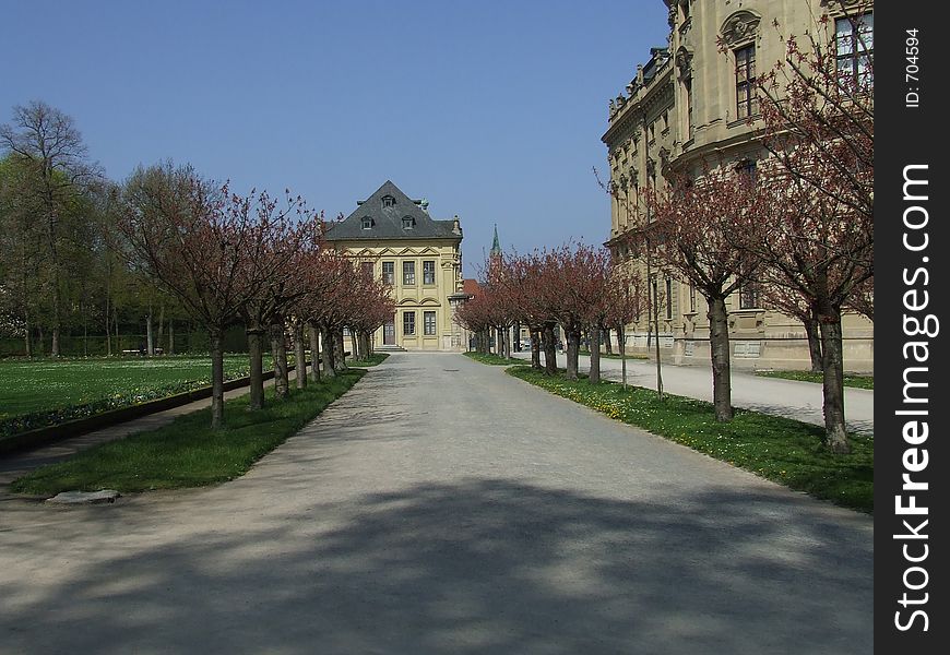 An alley in a park. An alley in a park