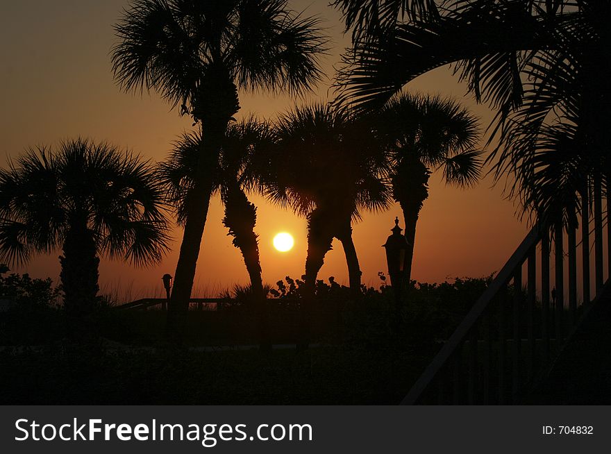 Silhouette of palm trees on the beach at sunset. Silhouette of palm trees on the beach at sunset.