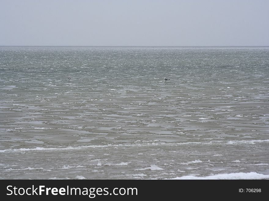 Winter near the sea