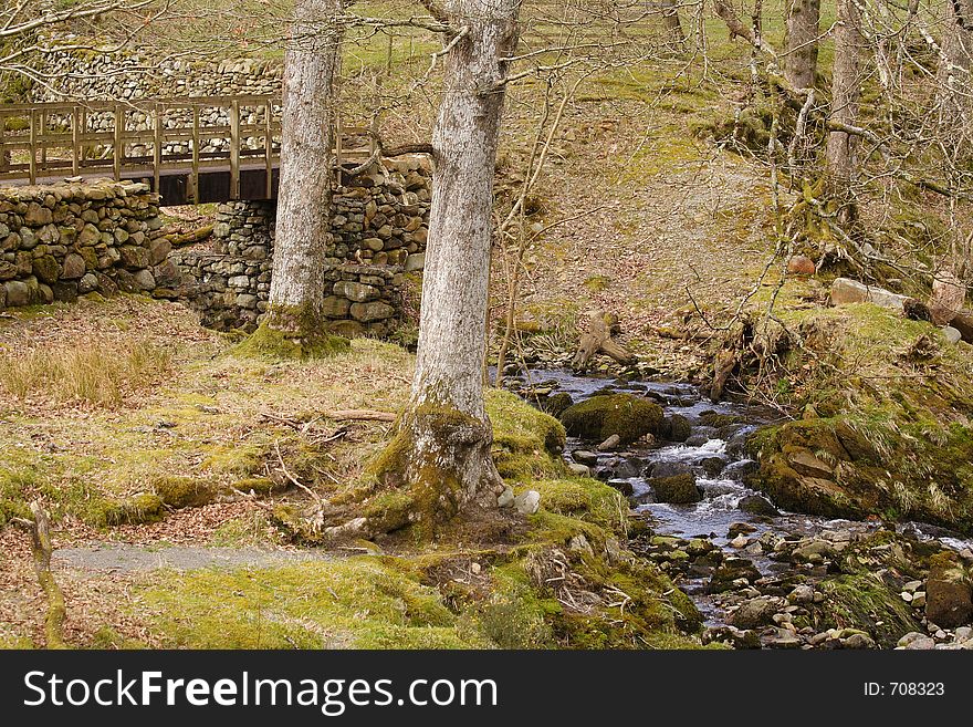 Brook run trhrough woodland, under a bridge and over moss covered rocks. Brook run trhrough woodland, under a bridge and over moss covered rocks