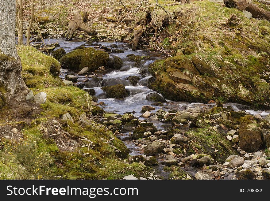 Mountain stream with motion blurred water