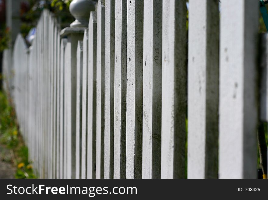 White picket fence. White picket fence