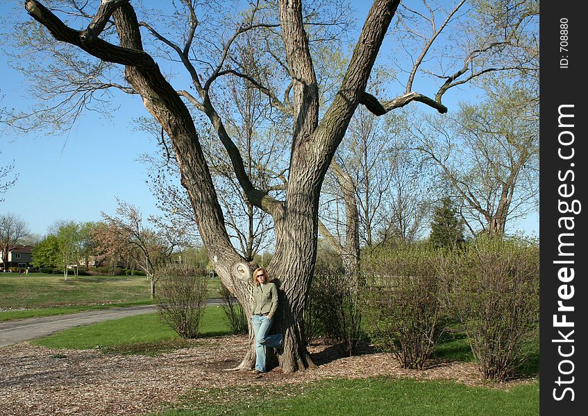 Young woman at the tree. Young woman at the tree