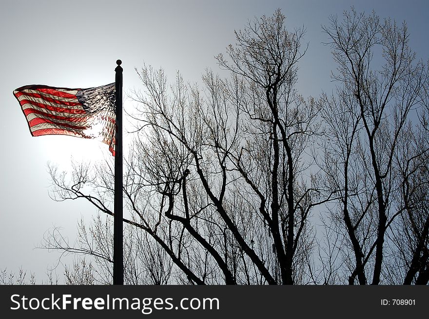 American flag backlit with the sun against winter trees. American flag backlit with the sun against winter trees.