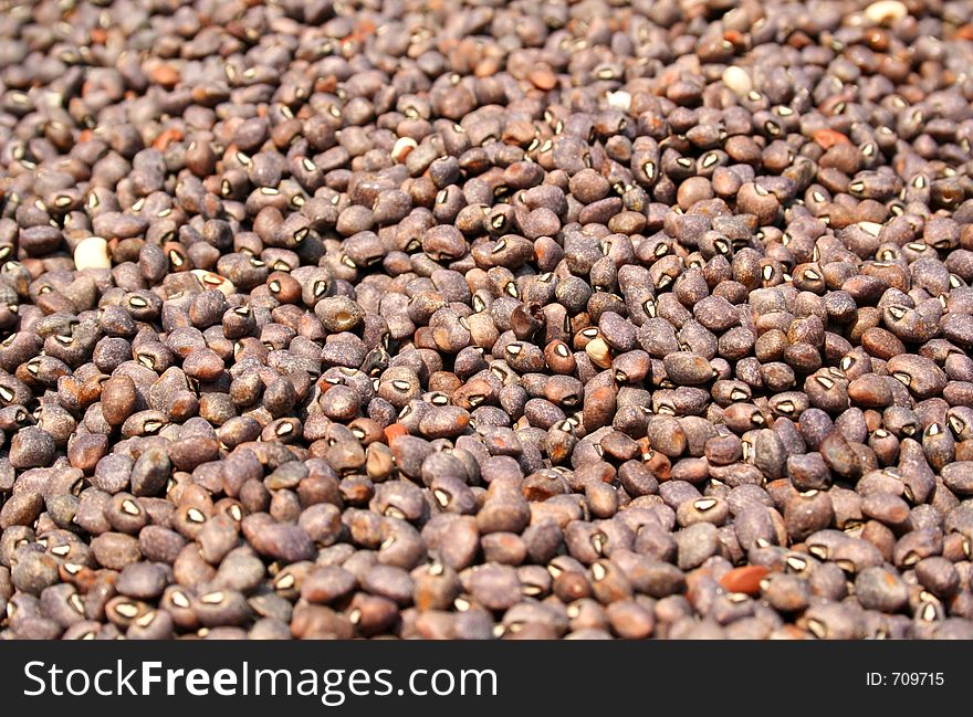 Close-up dark brown beans