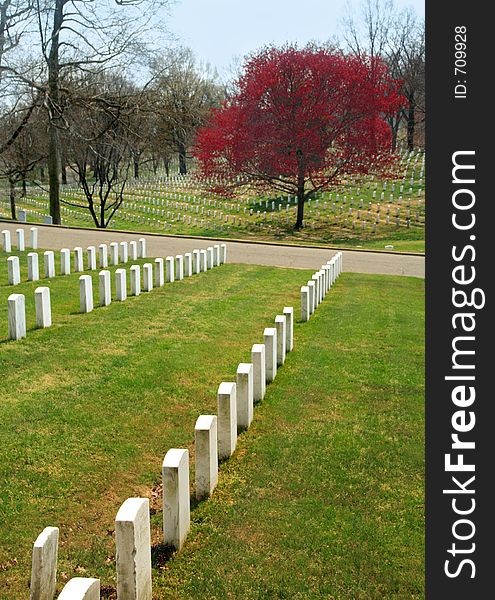 Arlington National Cemetary, where America's war dead rest. Arlington National Cemetary, where America's war dead rest