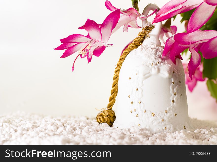 White bell with christmas cactus