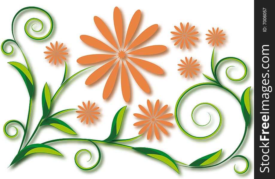 Floral background with orange flowers on white background
