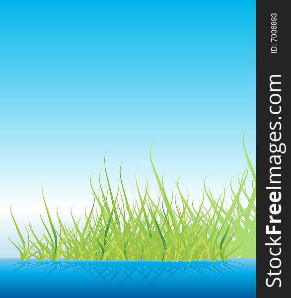 Green grass on water vector illustration