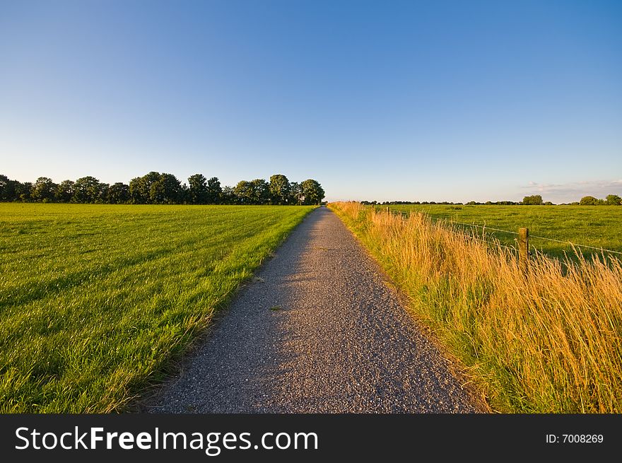 Country Road  Farmlandscape