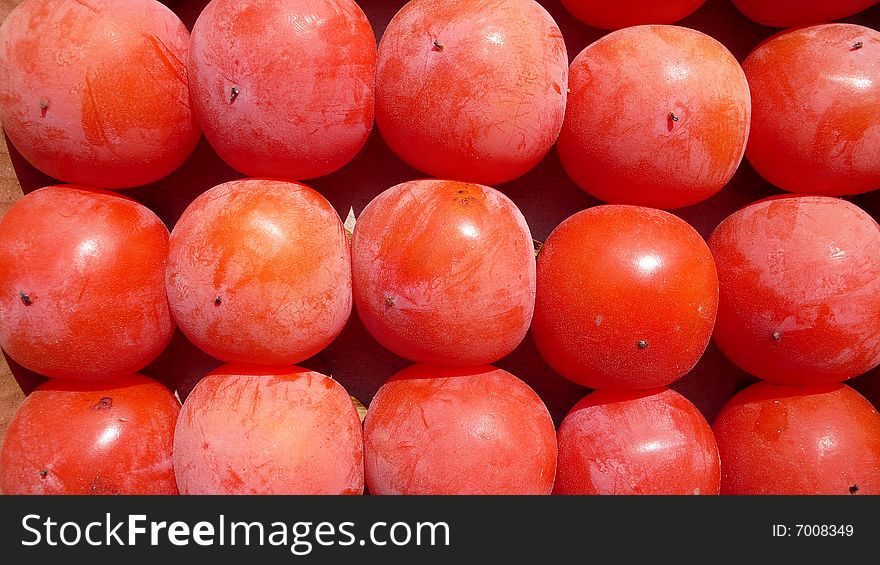 Red Persimmon