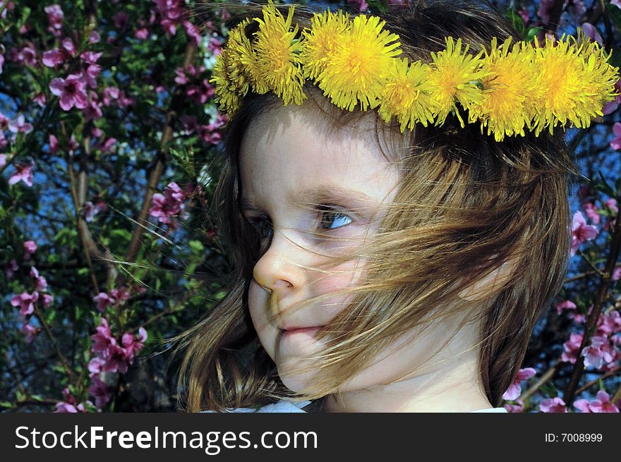 Dandelion Portrait