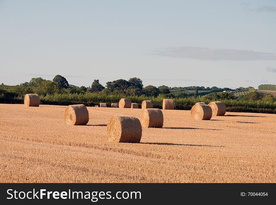 Bales of straw.