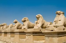Sheep In Karnak Temple Stock Photo Sheep In Karnak Temple Stock Photo