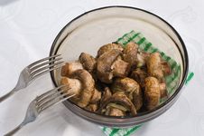 Shashlick Ot Mushrooms. Stock Images Shashlick Ot Mushrooms. Stock Images