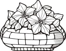 Floral Basket Stock Photo
