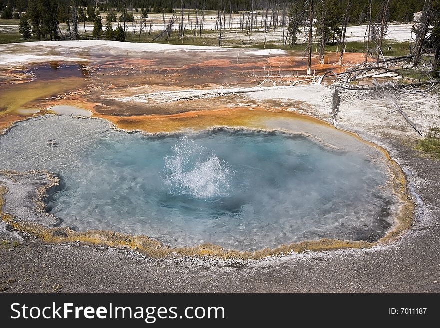 Boiling Water in Yellowstone National Park.