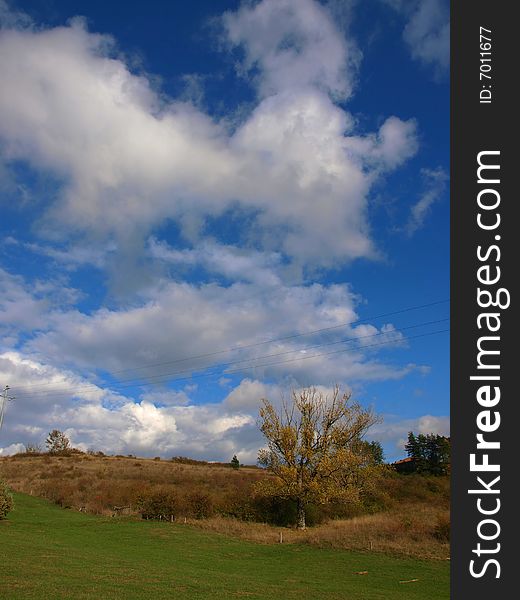 A beautiful shot of autumn landscapes in countryside