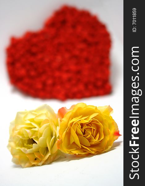 Yellow roses against red heart on background