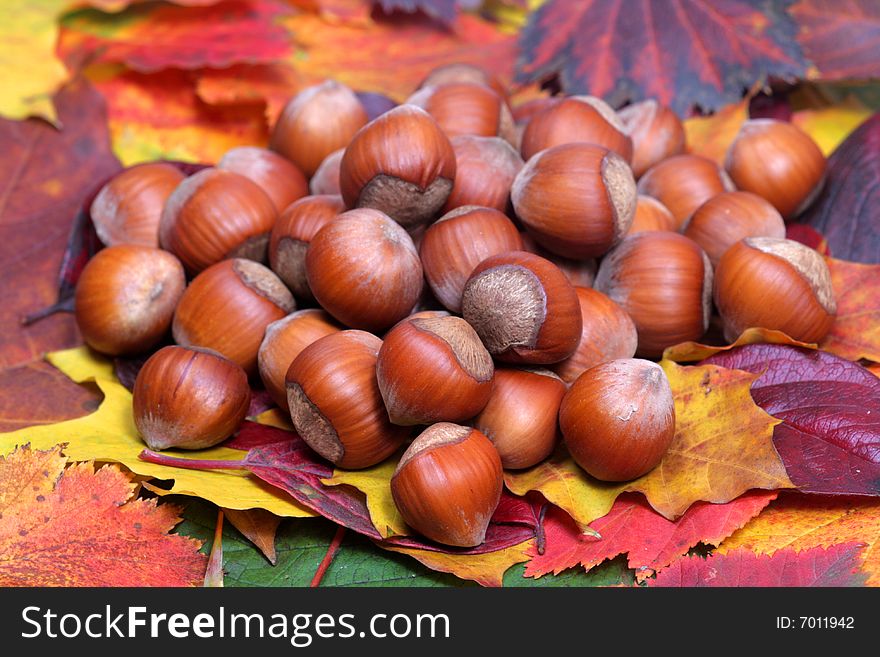 Pile of nuts on background of autumn leaves. Pile of nuts on background of autumn leaves.