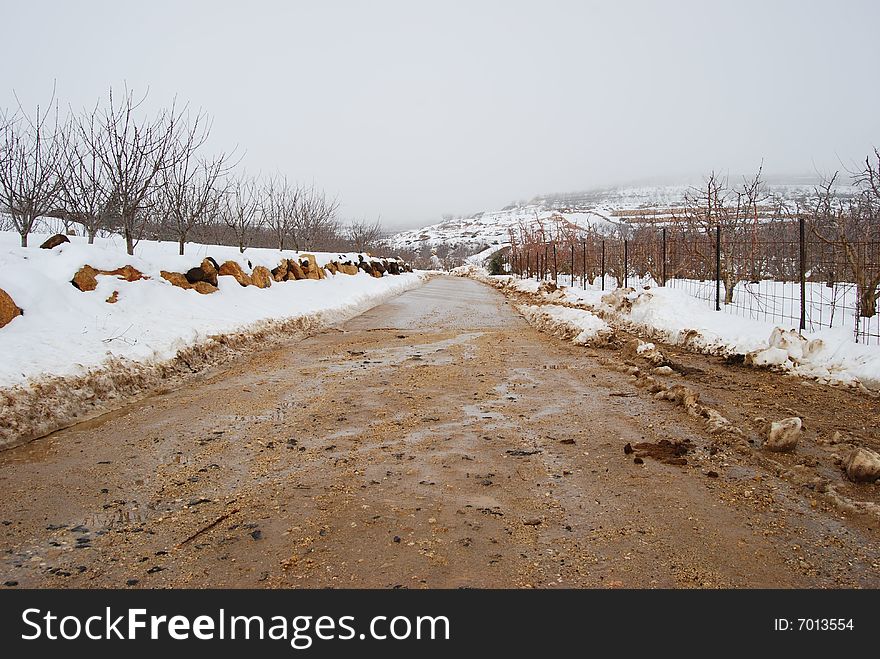 Snowy road in northern Israel early in the morning at the rising of the sun