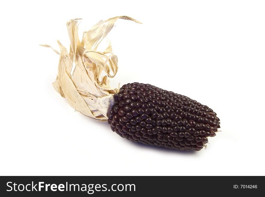 A photograph of dried corn against a white background. A photograph of dried corn against a white background